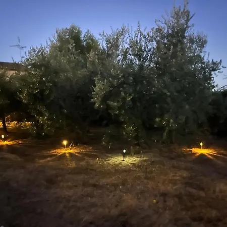 Il Palazzo Del Borgo - Todi