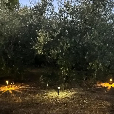 Il Palazzo Del Borgo - Affittacamere Todi