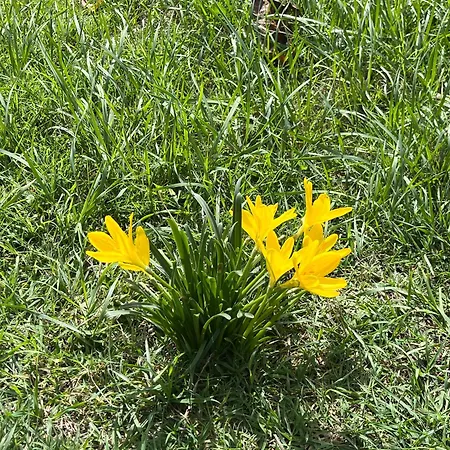 Il Palazzo Del Borgo - Todi