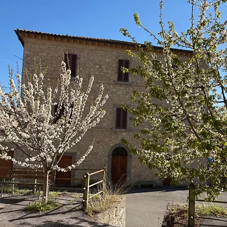 Affittacamere Il Palazzo Del Borgo - *