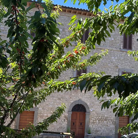 Il Palazzo Del Borgo - Affittacamere Todi