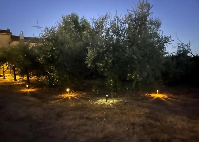 Il Palazzo Del Borgo - Todi