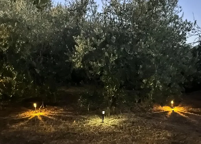 Il Palazzo Del Borgo - Gasthof Todi