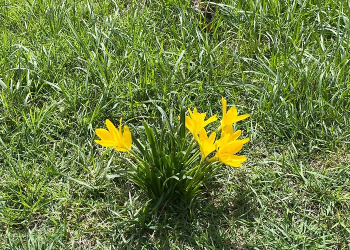 Il Palazzo Del Borgo - Todi